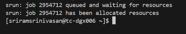 Compute resource allocation successful